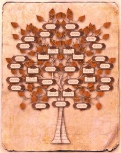 Herramientas terapéuticas. Constelaciones familiares y sistémicas 1