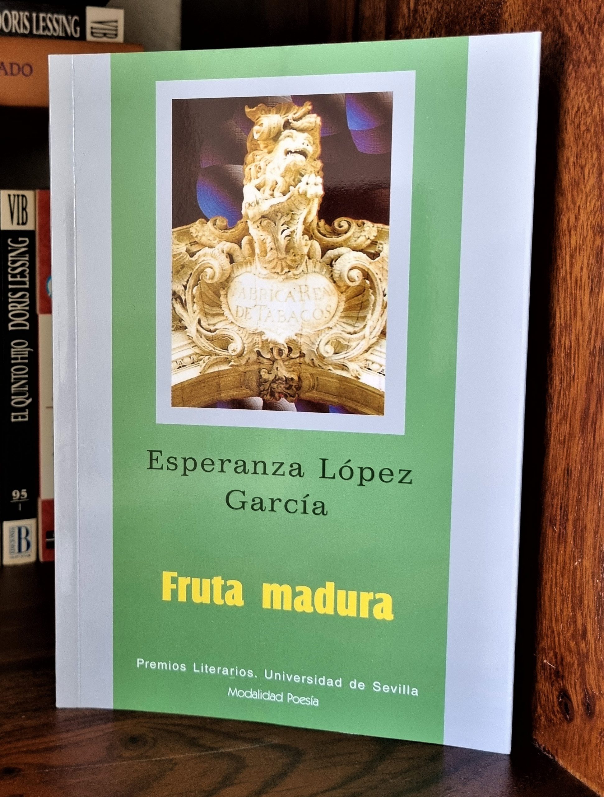 Escritura Terapéutica 17